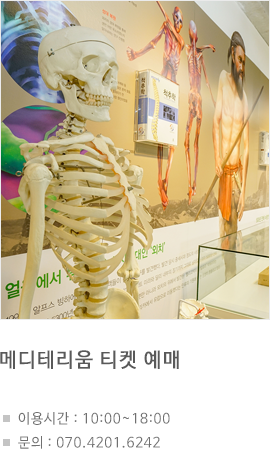 메디테리움 티켓 예매